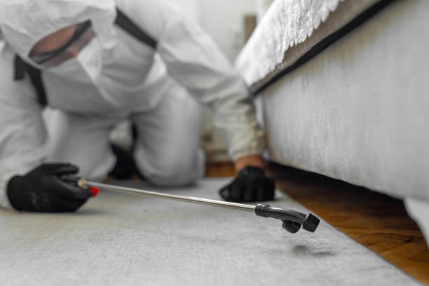 Professional Bed Bug Control technician working in Tyndall AFB, FL