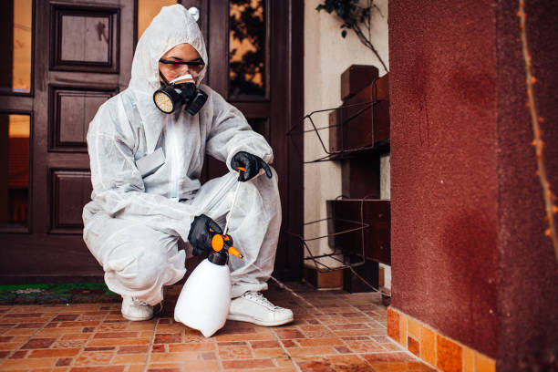 Reliable Bed Bug Control contractor in Tyndall AFB, FL by Nex Pest Control
