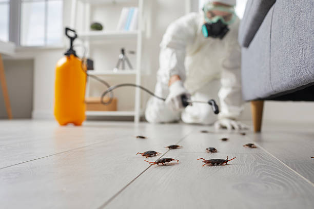 Affordable Bed Bug Control solutions in Tyndall AFB, FL